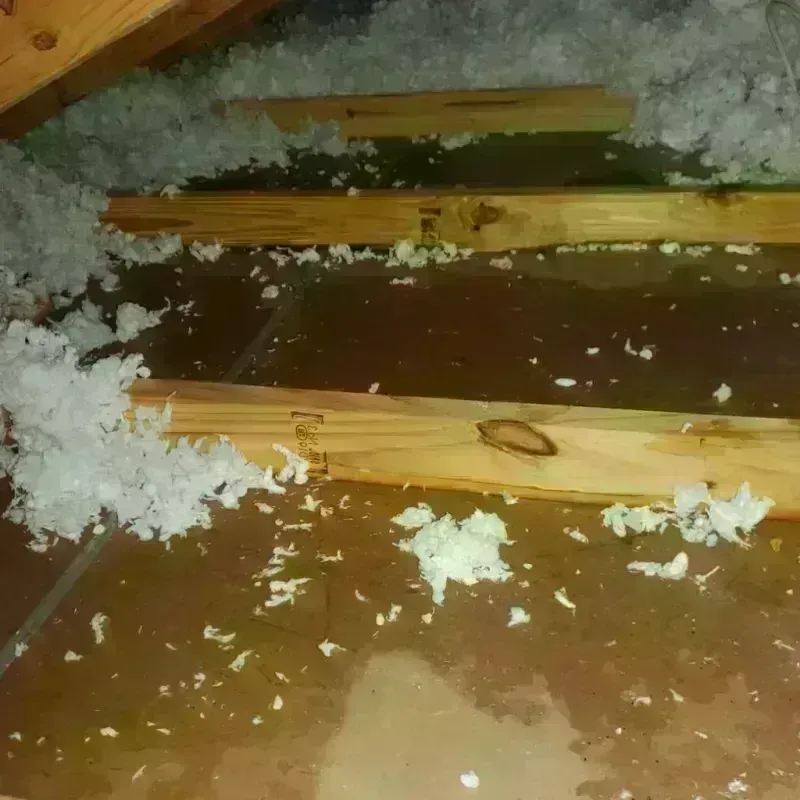 Attic Water Damage in Federal Heights, CO